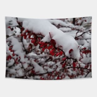 Red Berries and Snow Tapestry