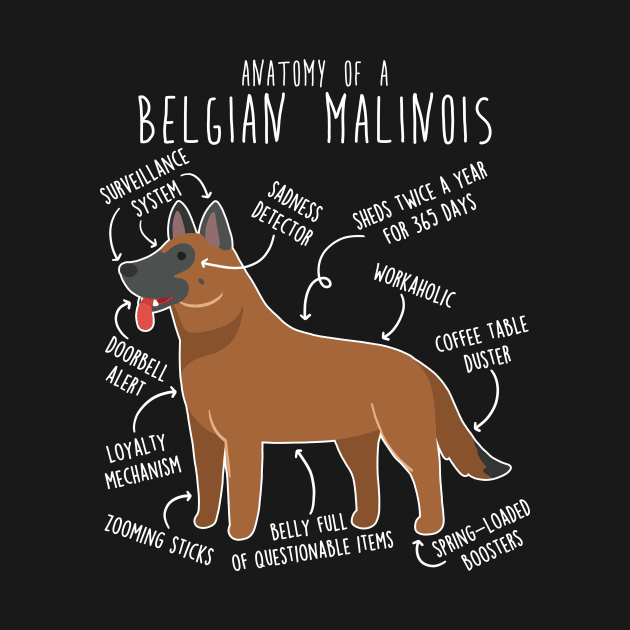 Red Mahogany Belgian Malinois Dog Anatomy by Psitta