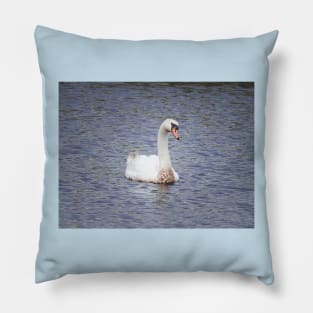 Mute Swan, Wild Birds, Wildlife Gifts Pillow