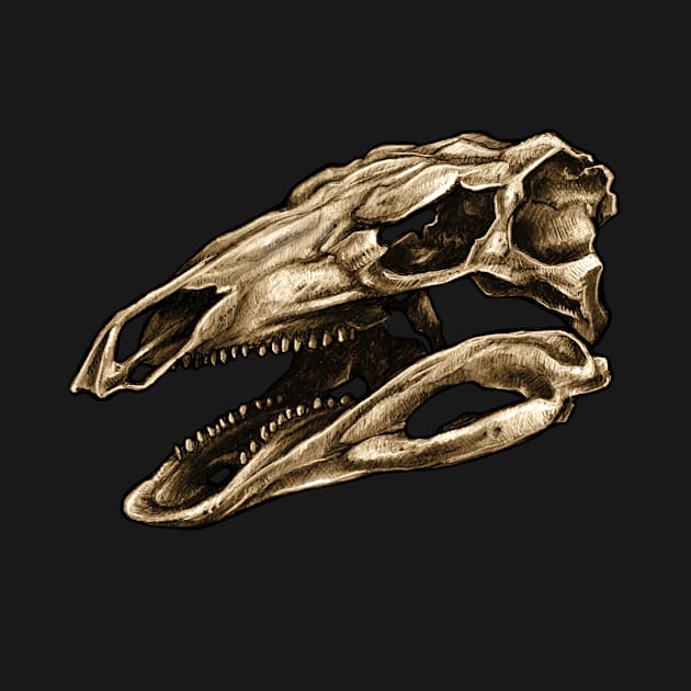 Dinosaur Skull Stegosaurus by CassWArt