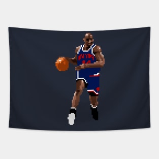 Anthony Mason Pixel Dribble Tapestry