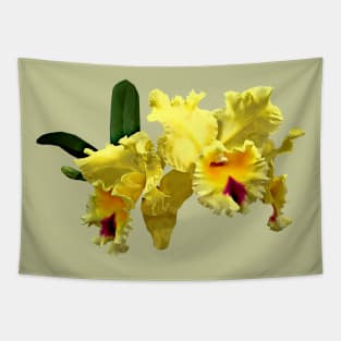 Two Yellow Cattleya Orchids Tapestry