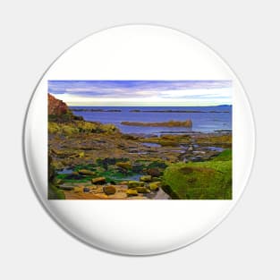 Pittenweem shore Pin