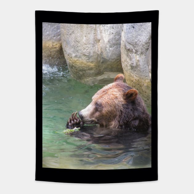 Bear Playing In Water Tapestry by DPattonPD