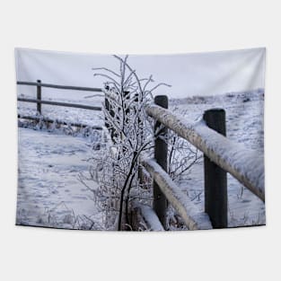 Winter Wonderland in -30C Tapestry