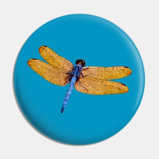 Blue and Gold Dragonfly Pin