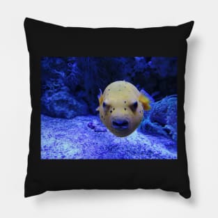Angry puffer fish Pillow