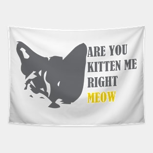 Are You Kitten Me Right Meow Tapestry