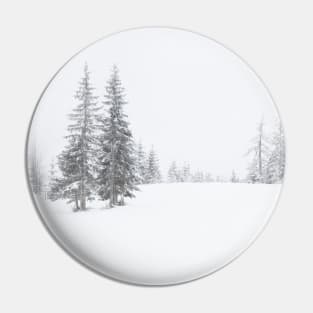 Snowscape Pin