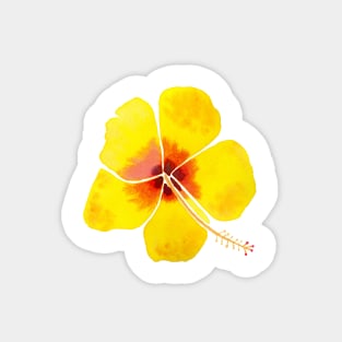 Yellow Hibiscus with a white background Magnet