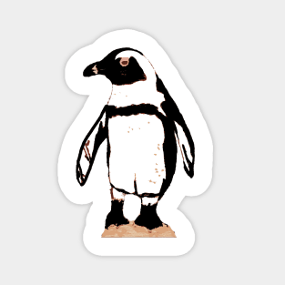 Penguin Magnet