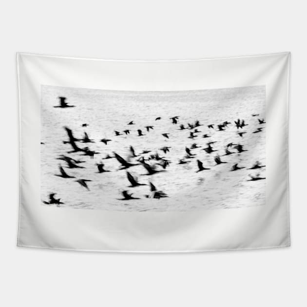 Birds in motion - flight. Tapestry by brians101