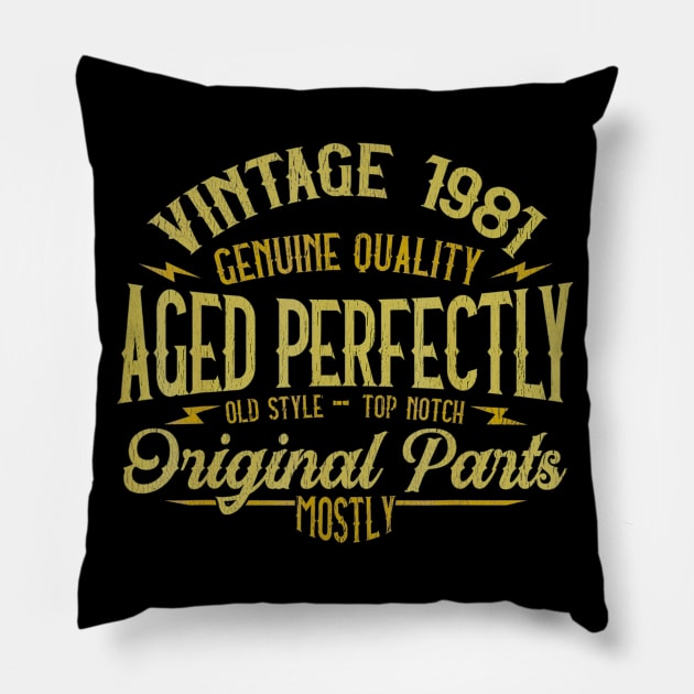 Vintage 1981 39th Birthday 39 Years Old Gift Pillow by semprebummer7