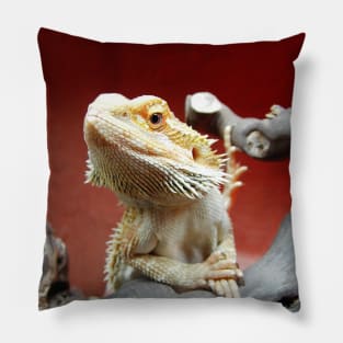 Bearded Dragon Pillow