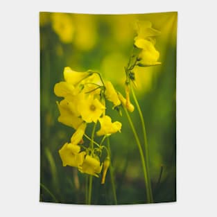 Wild flowers Tapestry