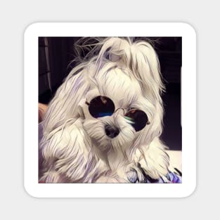 Maltese Coco the model, maltese dog, maltese, maltese puppy, dog model, white dog, dog products Magnet