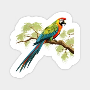 Military Macaw Magnet