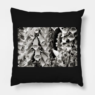 Fairy forest-Black and white. Pillow