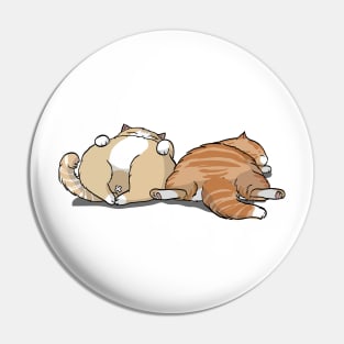 Cutie Sleepy Cats Pin