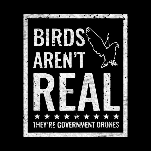 birds aren't real goverment orones by Talisarose.std