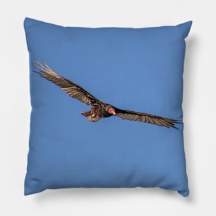 Turkey Vulture in a Blue Sky Pillow