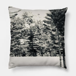 Tall trees Pillow