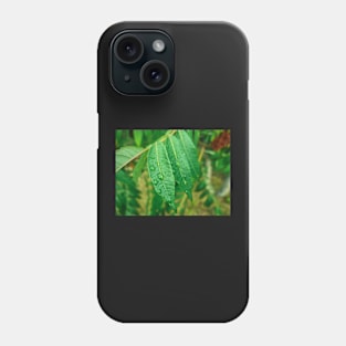 Water Drops on Green Leaf Phone Case