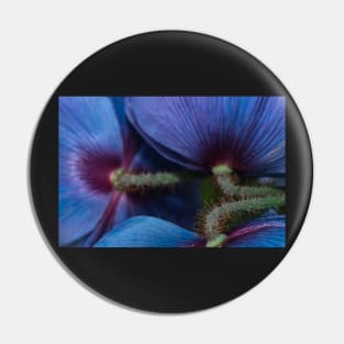 Himalayan Poppies Pin