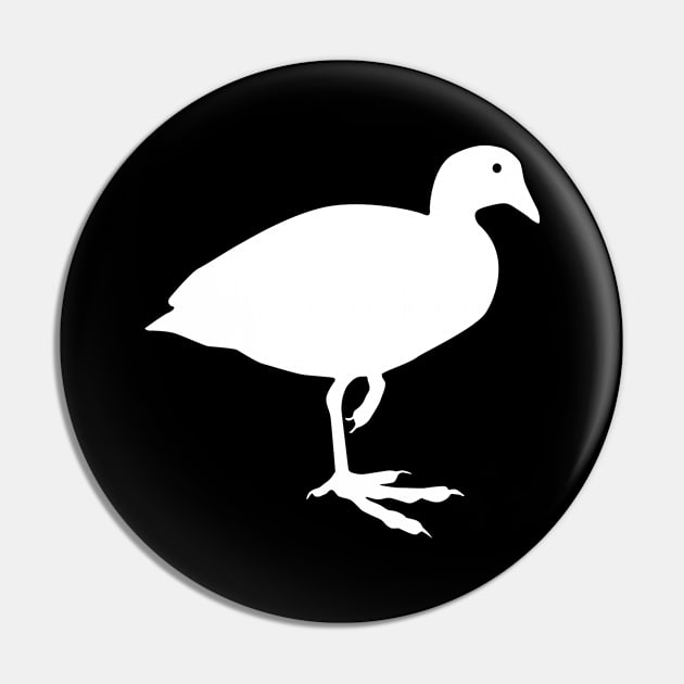 American Coot I Bird I Birding I American Coot Pin by Shirtjaeger