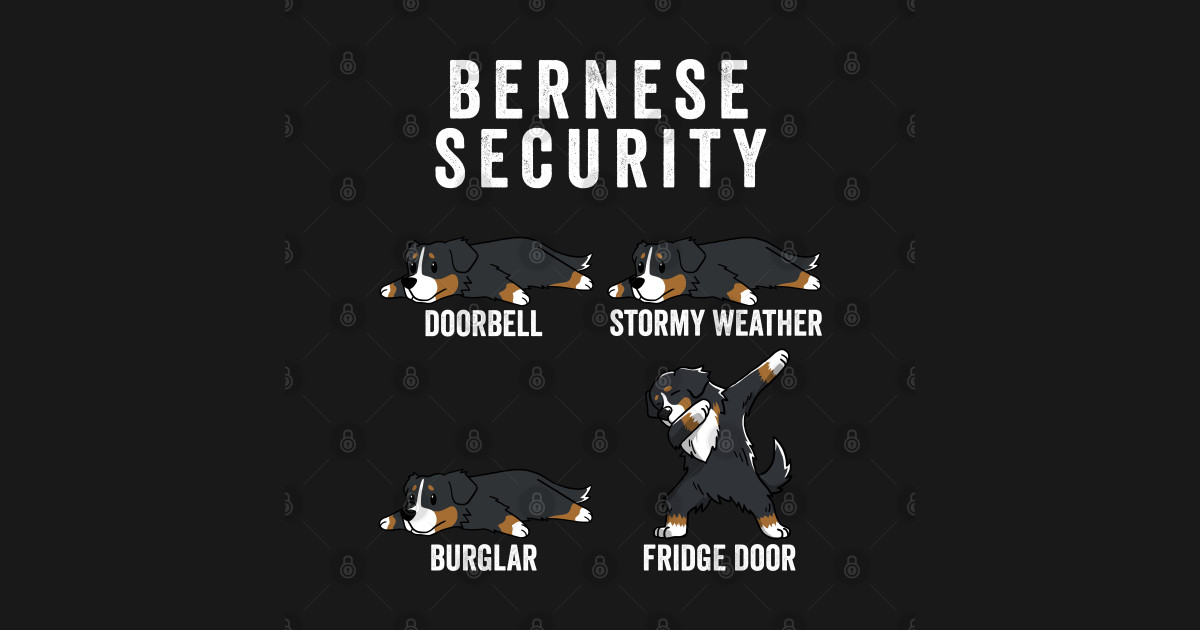 Bernese Mountain Dog Security - Bernese Mountain Dog - T ...