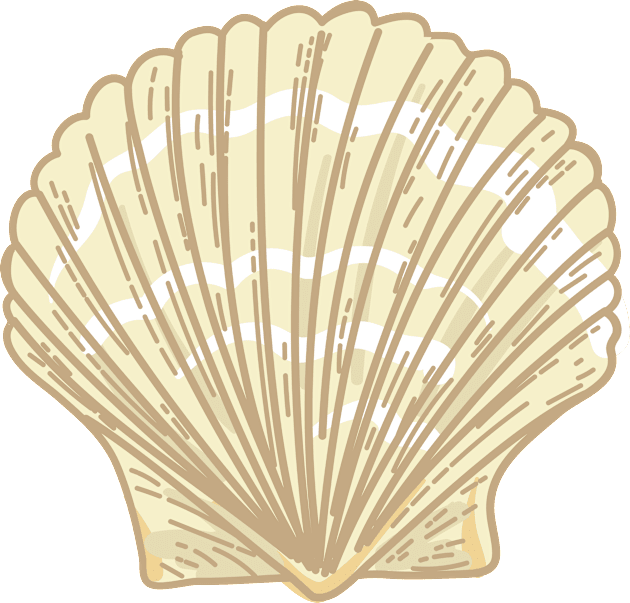 Seashell #5 Kids T-Shirt by SWON Design