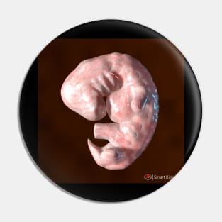 Human Embryo Pin