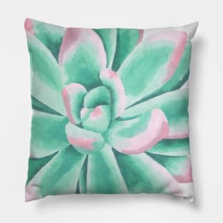 Green and Pink Succulent Pillow