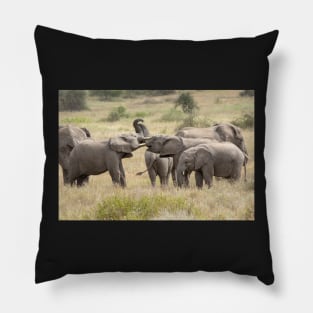 Tusk To Tusk: Wild Elephants, Tanzania Pillow