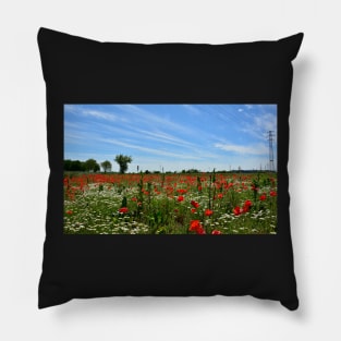 Poppy Field Near Cividale Pillow