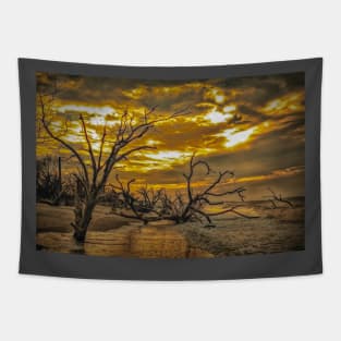 Edisto Island, South Carolina Tapestry