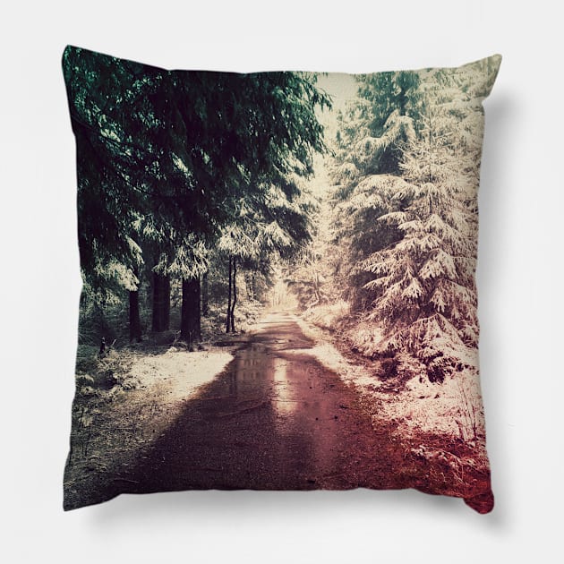 Path Pillow by NachtmahrART