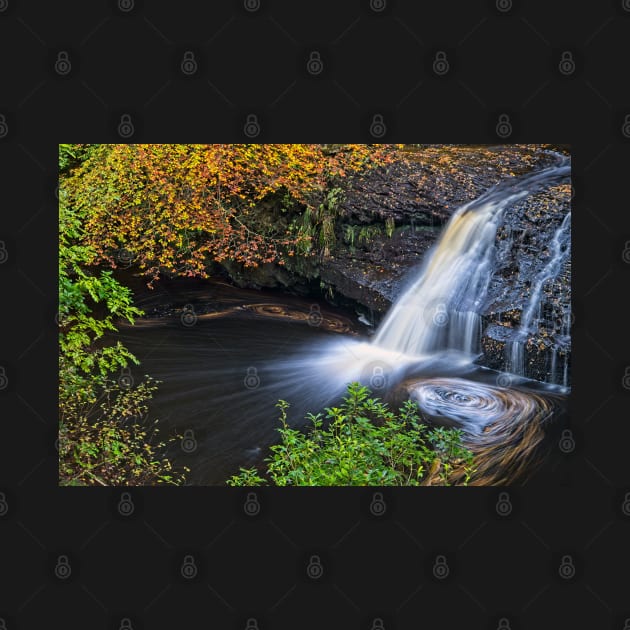 Hamsterley Forest Waterfall by MartynUK