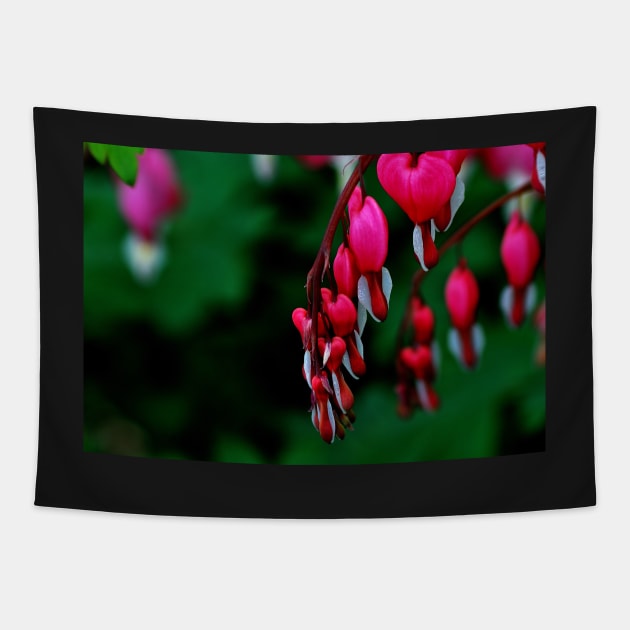 Lamprocapnos Spectabilis Tapestry by axp7884