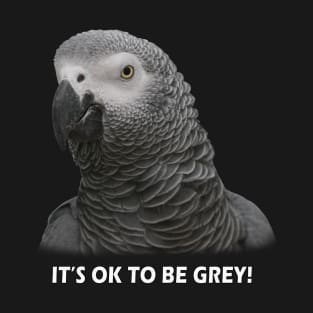 OK TO BE GREY T-Shirt