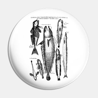 historical fishes design Pin