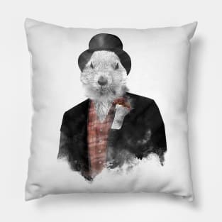 Mr Phil Pillow