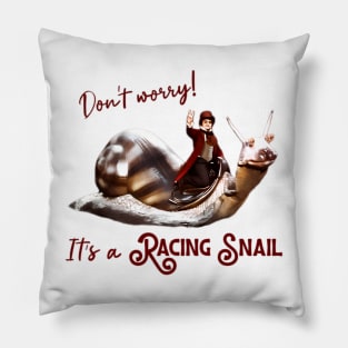 Racing Snail Pillow