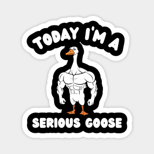 Today I'm A Serious Goose Magnet