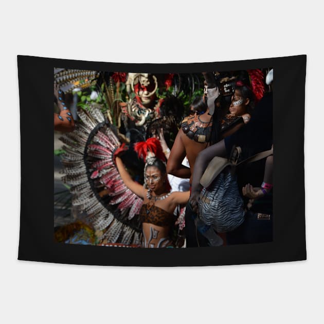 Mexican Beauty Tapestry by Imagery