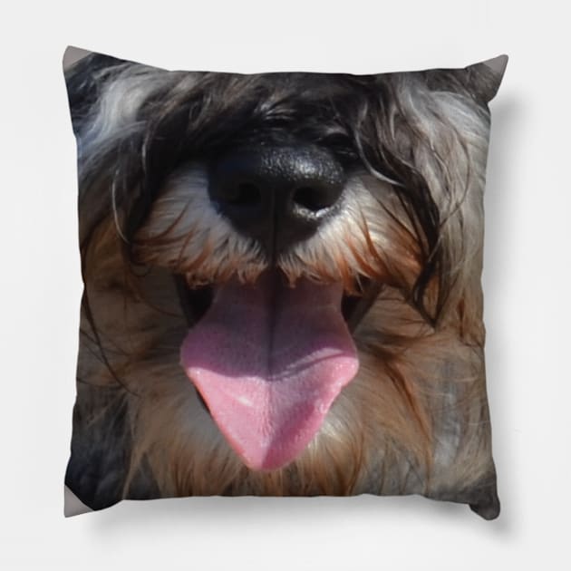 Schnauzer Pillow by t3od0ra