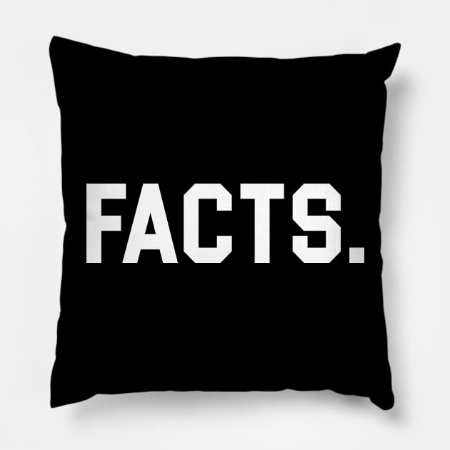 Facts Pillow by martinroj