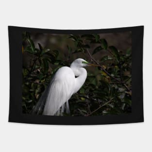 Great Egret with Breeding Colors and Plumes Tapestry