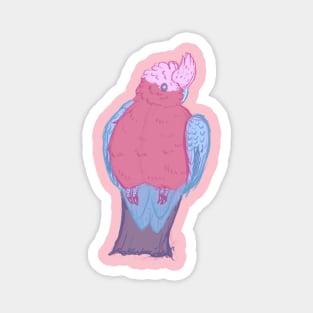 Pink Galah Cockatoo Magnet