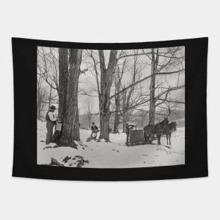 Vermont Maple Sugar Camp, 1906. Vintage Photo Tapestry